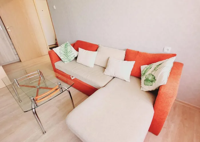 The Comfortable Apartment